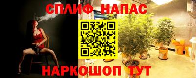 индика Туймазы